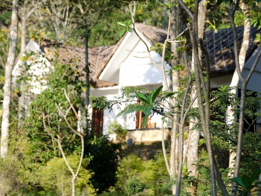 Niraamaya Retreats Cardamom Club Thekkady Εξωτερικό φωτογραφία